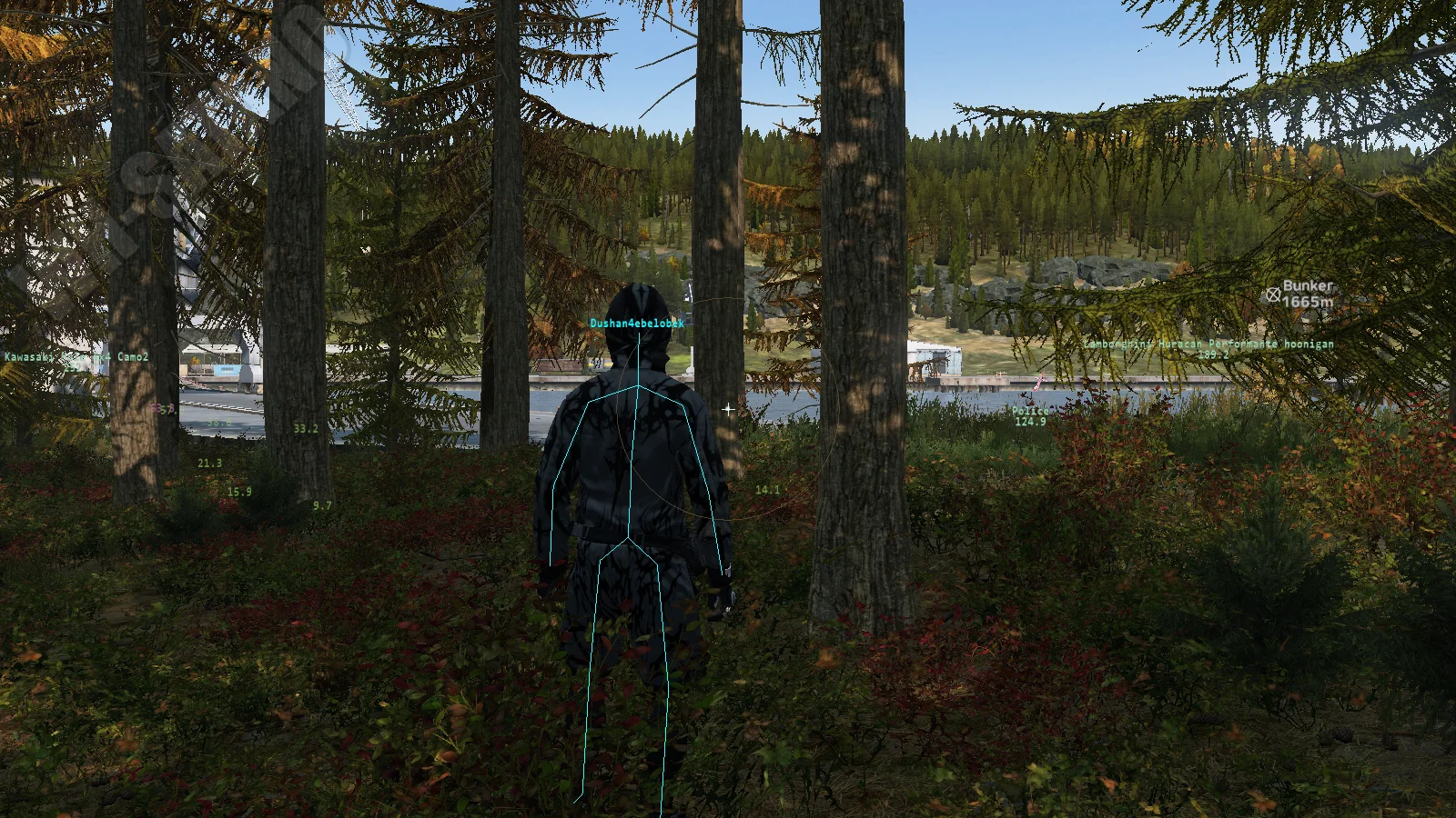 Screenshot Avalanche DayZ_2