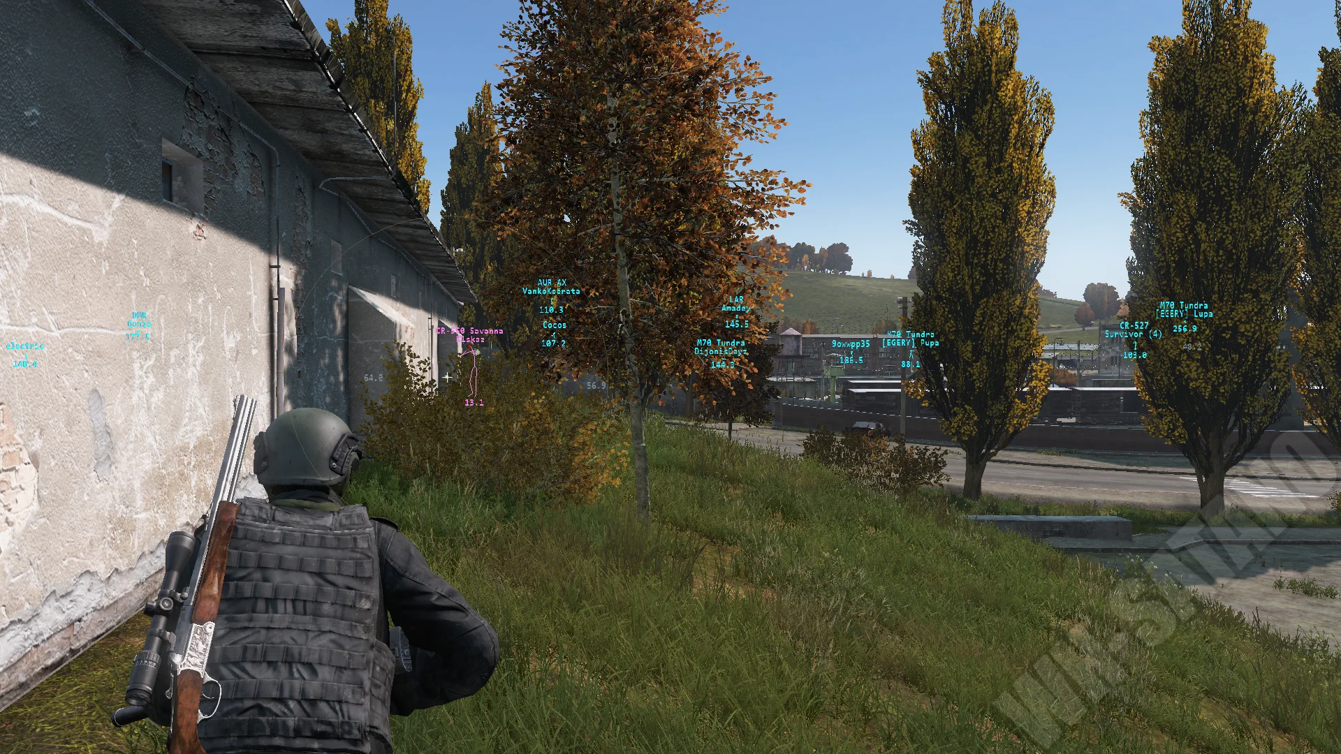 Screenshot Avalanche DayZ_3