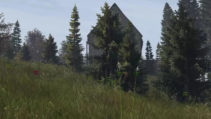DayZ Labcore Hack photo preview 6