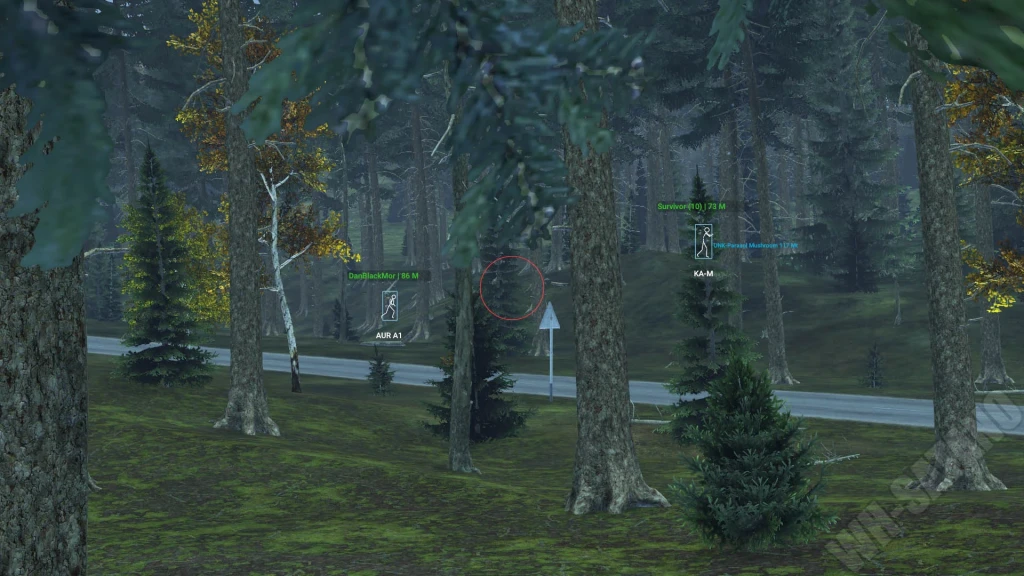 Dayz Crusader photo preview 4
