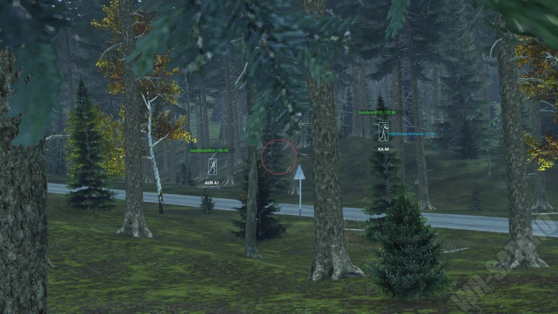 Dayz Crusader photo preview 4