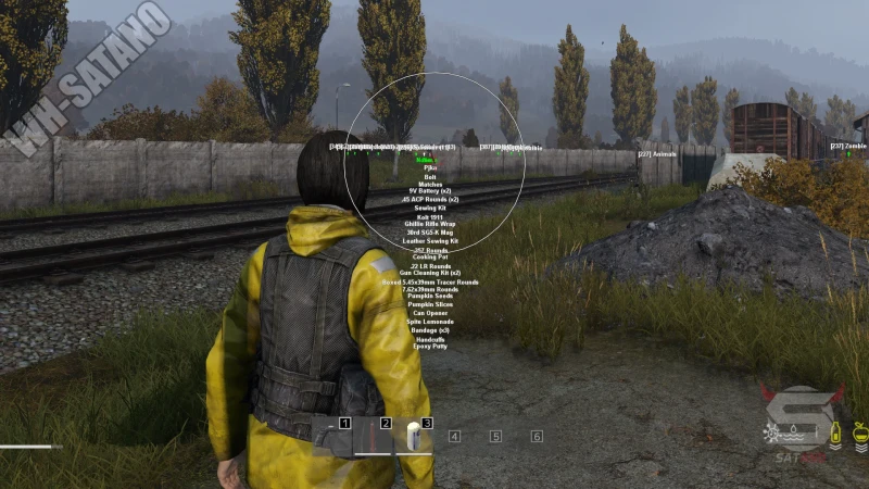 Dayz Collapse photo preview 4
