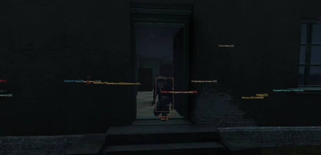 DayZ Domination превью для видео 1