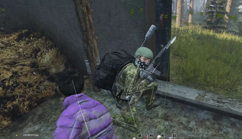 DayZ Labcore Hack photo preview 7